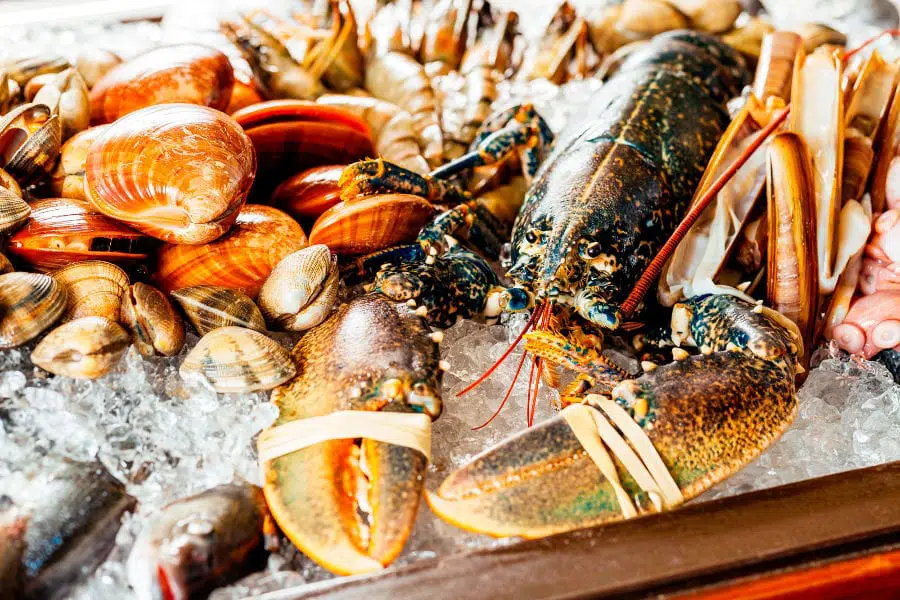 Guía práctica para comprar, almacenar y preparar mariscos ⋆ Larousse Cocina