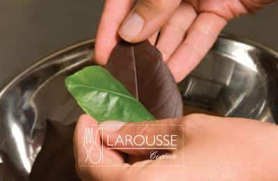 <p>Refrigerar unos minutos y desprender delicadamente las hojas del chocolate.</p>
