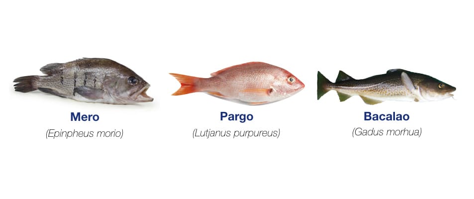 Los pescados magros son generalmente pescados de carne blanca como la del mero, pargo, bacalao o huachinango que llegan a contener entre un 0.5% y 4% de grasas o lípidos.