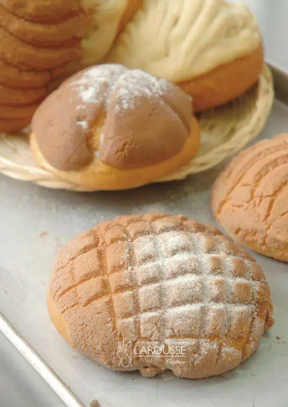 Conchas ⋆ Larousse Cocina