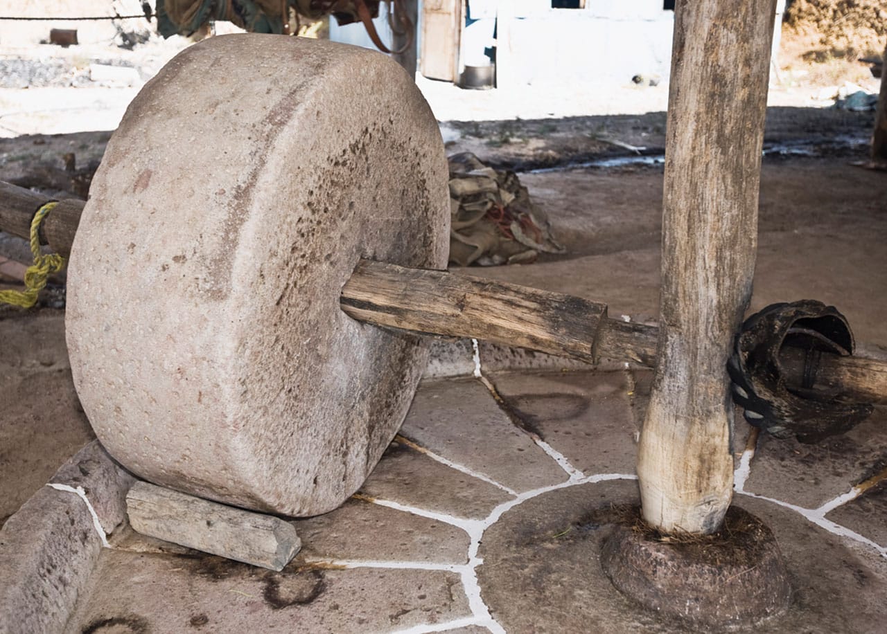 Foto: Método tradicional para la molienda de piñas de maguey, Hierve el Agua, Oaxaca. © Ediciones Larousse.