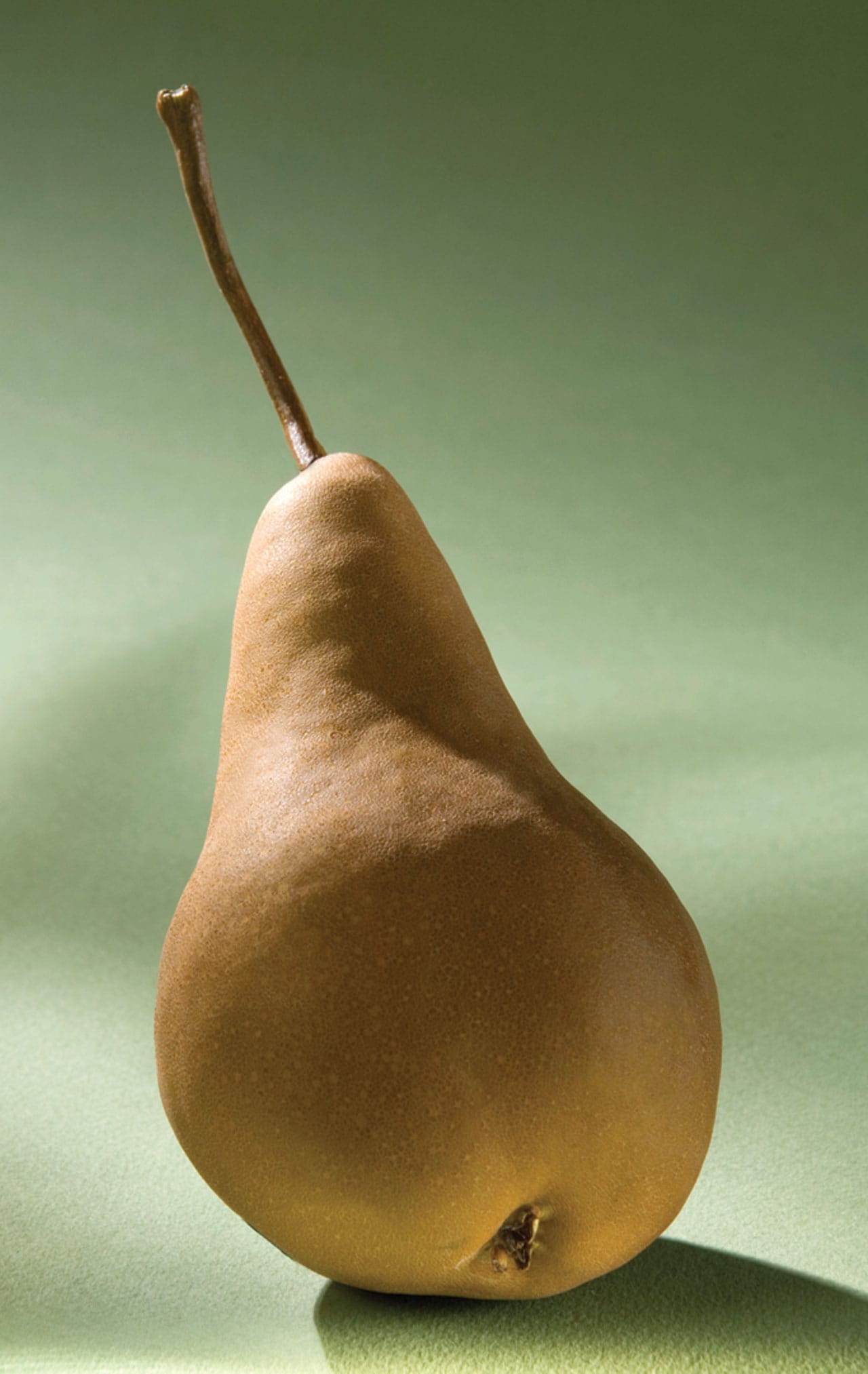 Foto: Fruto, pera. (León Rafael).