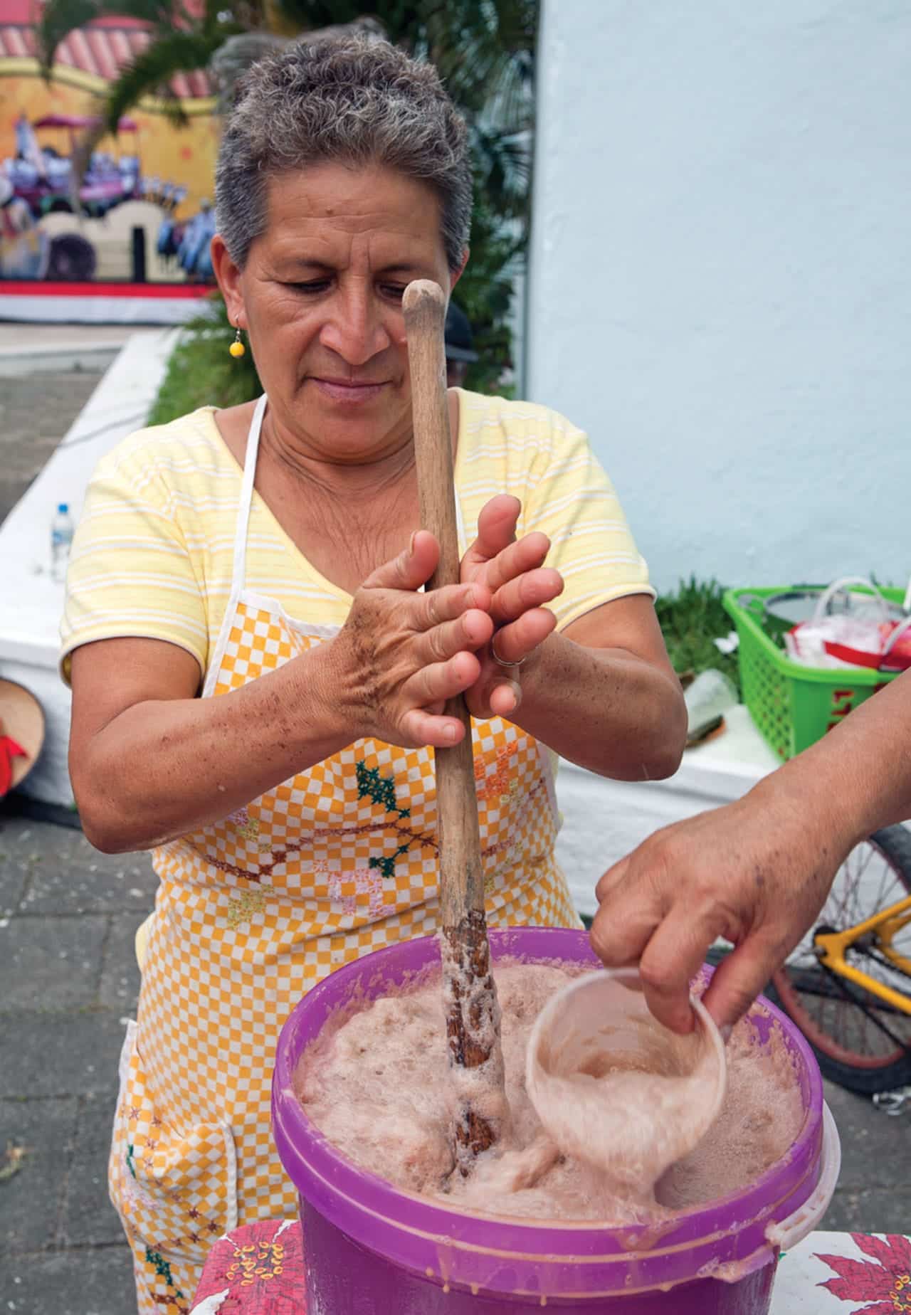 palabras-diccionario-enciclop-dico-de-la-gastronom-a-mexicana-popo