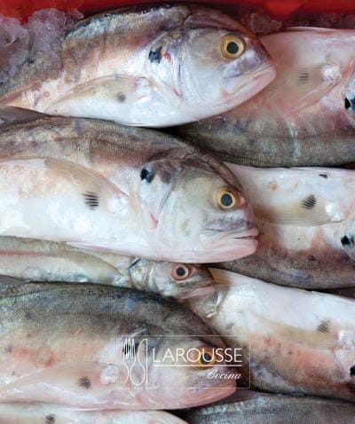 Foto: Pescados, jurel. © Ediciones Larousse / Francisco Palma.