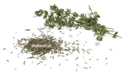 Tomillo Ruda Tomillo ⋆ Larousse Cocina