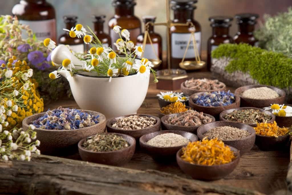 La Herbolaria Mexicana Un Detox Efectivo Larousse Cocina