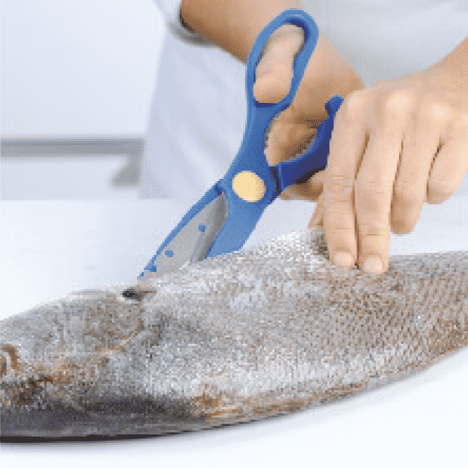<p>Con unas tijeras de cocina corte las aletas del pescado; después sujételo con una mano y abra el vientre.</p>
