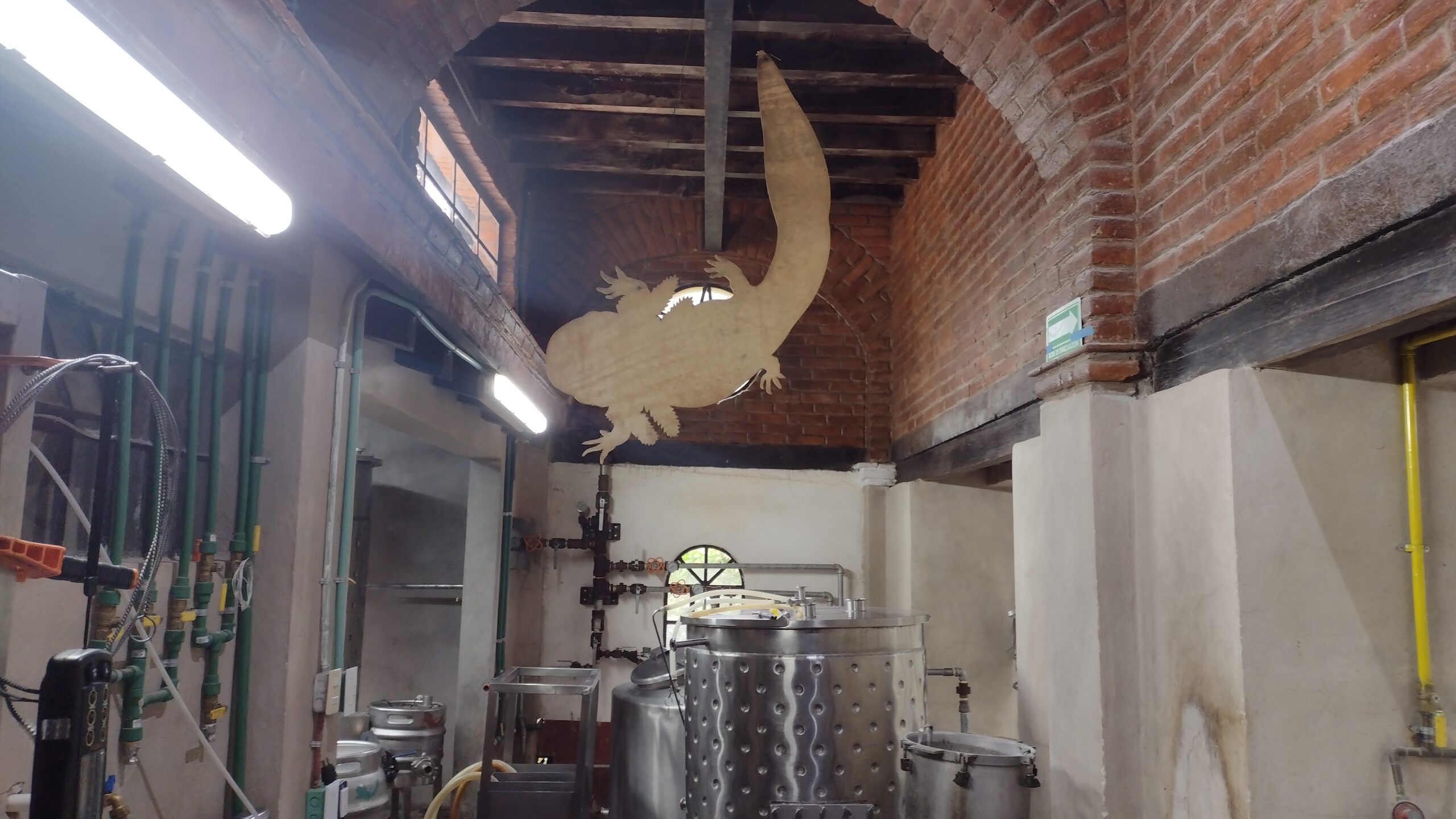 La cervecería toma su nombre de la traducción al español del vocablo náhuatl axolotl. Fuente: Archivo fotográfico de Larousse Cocina.