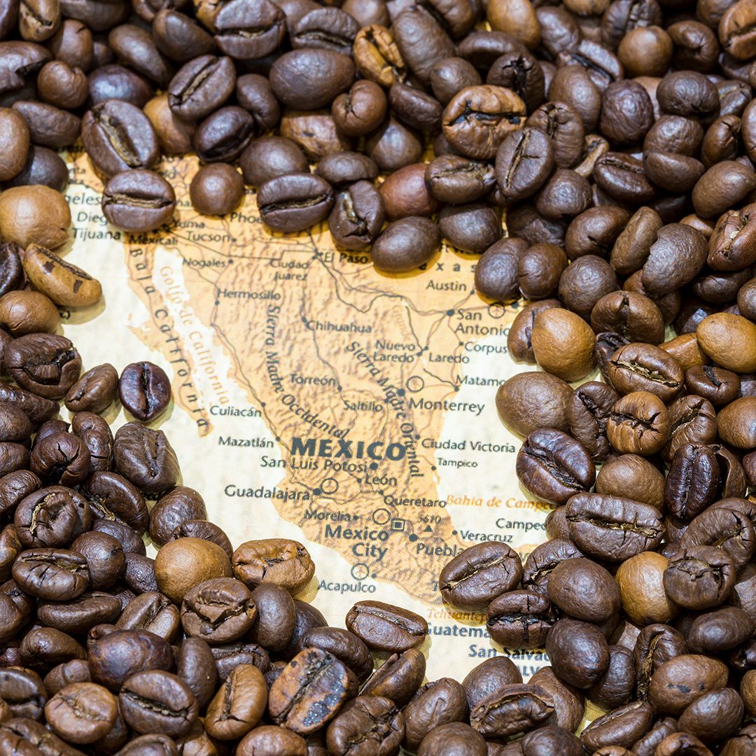 México es uno de los principales productores de café a nivel mundial. Fuente: Archivo fotográfico de Larousse Cocina.