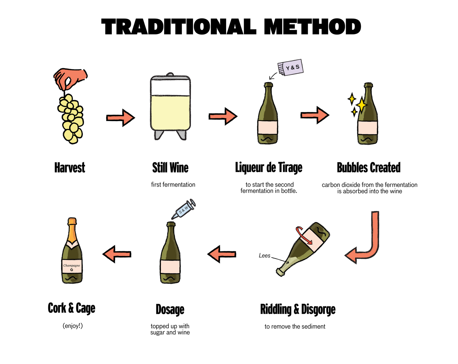 Pasos para producir un vino espumoso con el método champegnoise o tradicional