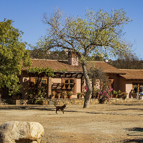 Rancho Mogor Badan